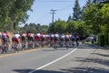 Amegen Tour of California - El Dorado Hills -12